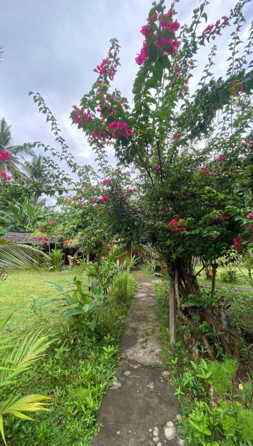 Kubu Artha Bungalow Nusa Penida Ped Exterior photo